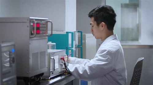 小熊电器 一时红是运气 一直红拼实力